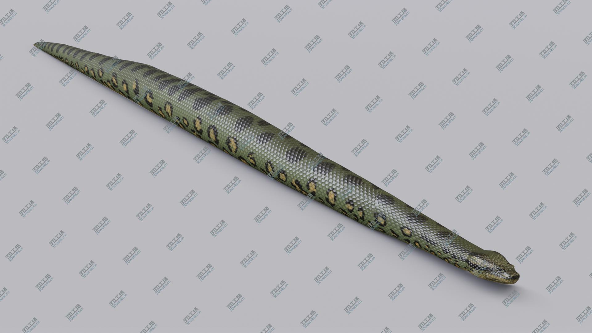 images/goods_img/20210319/3D model Animated Green Anaconda/5.jpg
